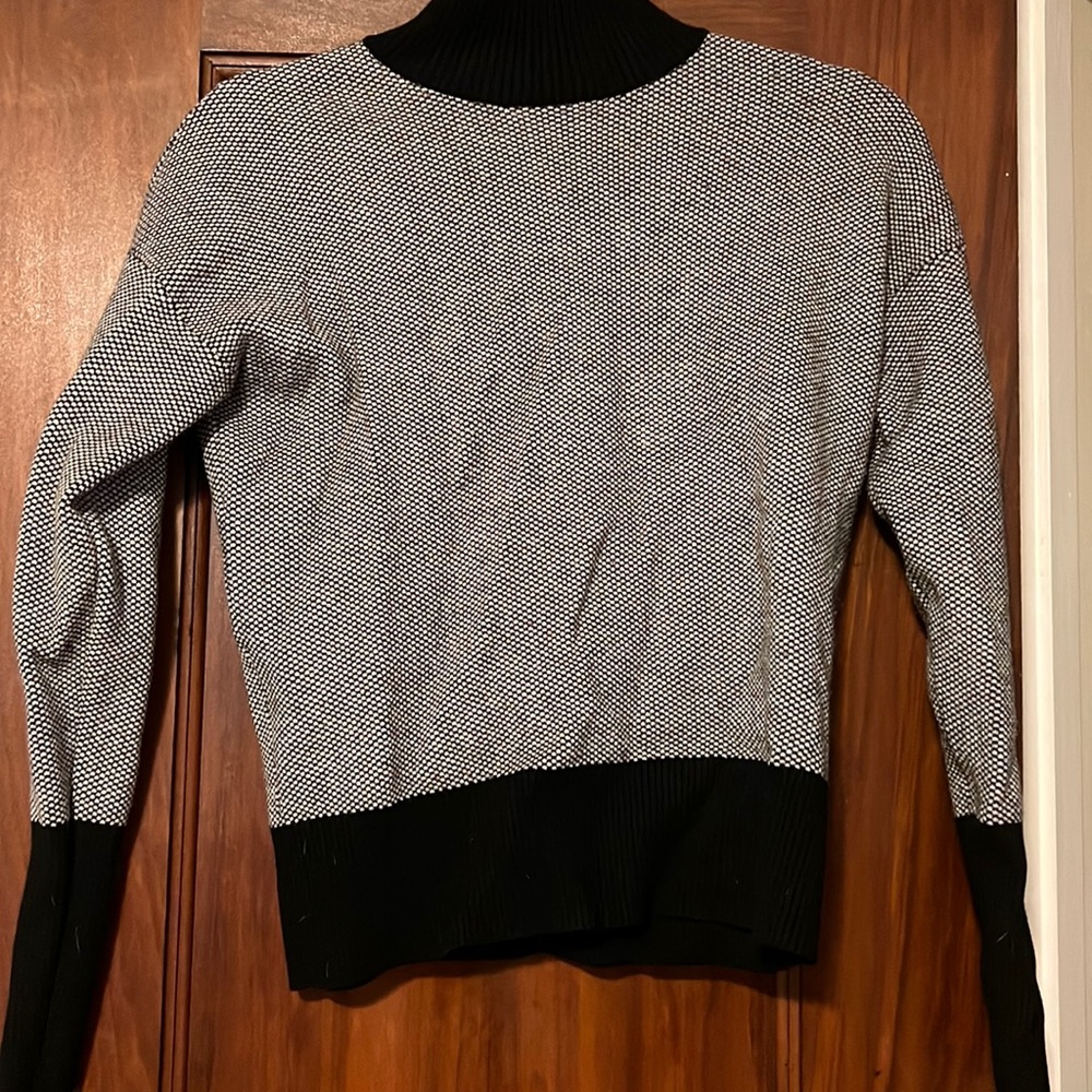Rachel Zoe stripped turtle neck sweater
